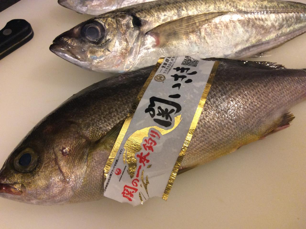 関イサキ 板橋本町 居酒屋 穂卓 穂卓
