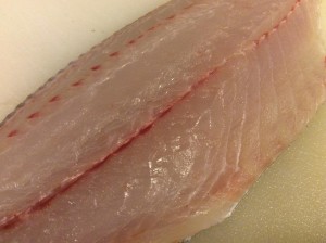 IMG_0921.JPG