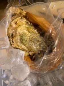 image4_7.jpeg