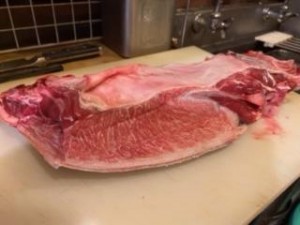 image0_5.jpeg