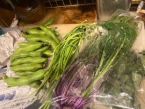 image2_7.jpeg