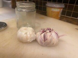 image3_12.jpeg