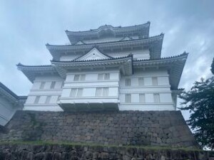 image0_8.jpeg