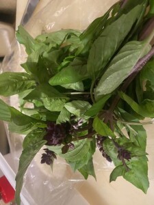 image1_3.jpeg