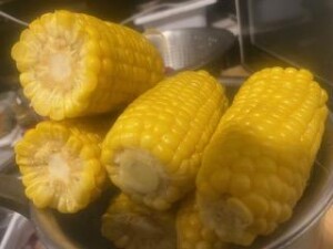image0_16.jpeg