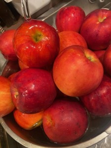 image1_12.jpeg