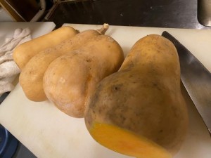 image3_11.jpeg